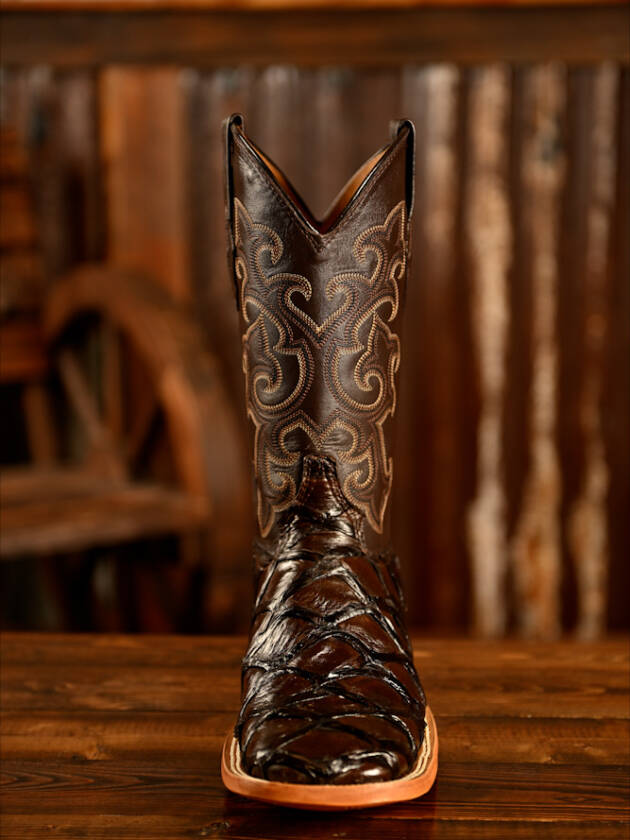 ZWW CHOCOLATE PIRARUCU FISH